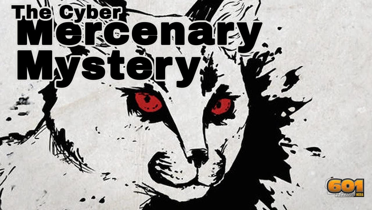 The-Cyber-Mercenary-illustrated